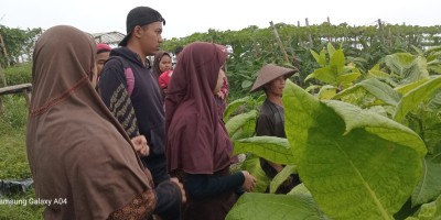 Pembelajaran di Luar Sekolah