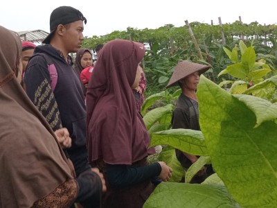 Pembelajaran di Luar Kelas Mengenal Tanaman Siswa Siswi SLB C Budi Asih Wonosobo Tahun ajaran 2025/2