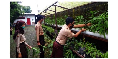 Guru dan Siswa Memanen Sayur